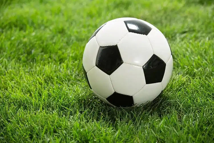 多平台设备展示